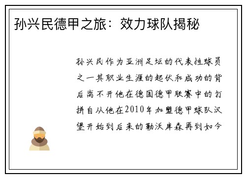 孙兴民德甲之旅：效力球队揭秘